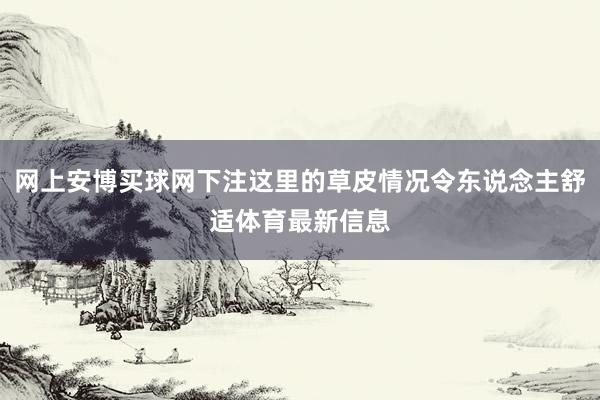 网上安博买球网下注这里的草皮情况令东说念主舒适体育最新信息