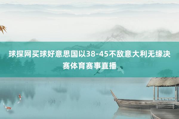 球探网买球好意思国以38-45不敌意大利无缘决赛体育赛事直播