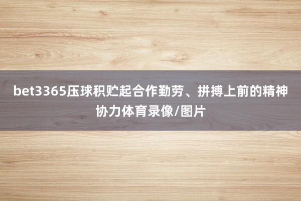 bet3365压球积贮起合作勤劳、拼搏上前的精神协力体育录像/图片