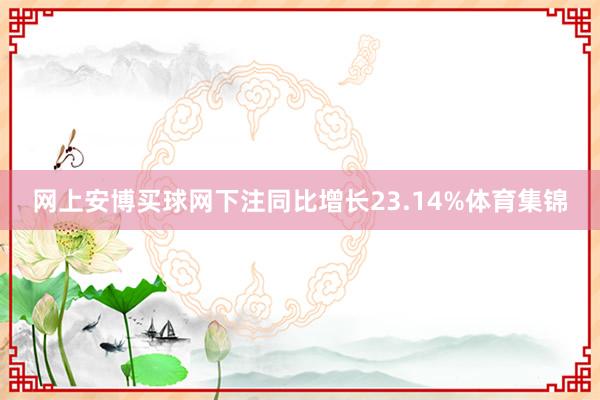 网上安博买球网下注同比增长23.14%体育集锦