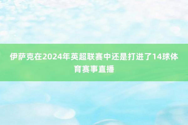 伊萨克在2024年英超联赛中还是打进了14球体育赛事直播