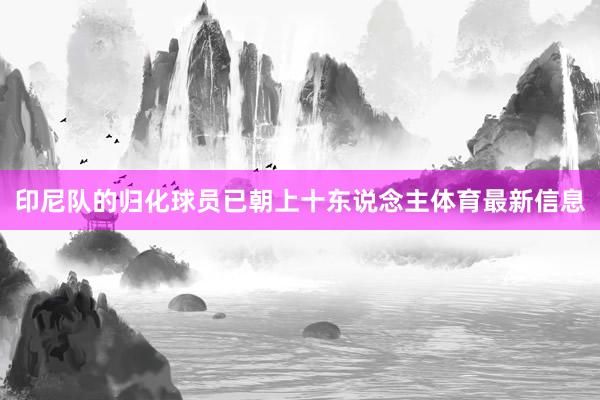 印尼队的归化球员已朝上十东说念主体育最新信息