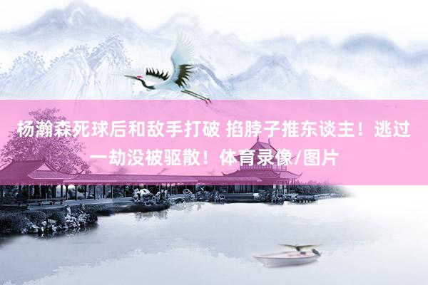 杨瀚森死球后和敌手打破 掐脖子推东谈主！逃过一劫没被驱散！体育录像/图片