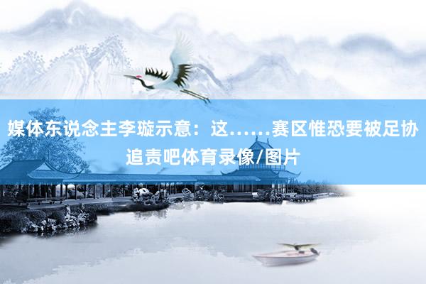 媒体东说念主李璇示意：这……赛区惟恐要被足协追责吧体育录像/图片