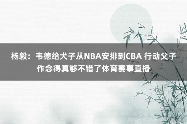 杨毅：韦德给犬子从NBA安排到CBA 行动父子作念得真够不错了体育赛事直播