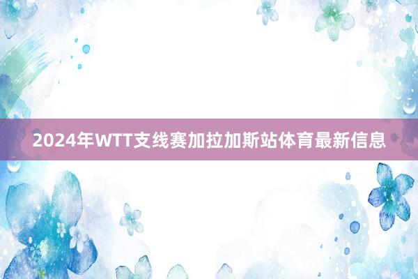 2024年WTT支线赛加拉加斯站体育最新信息